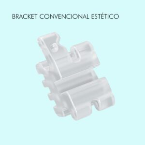 Convencional Estético