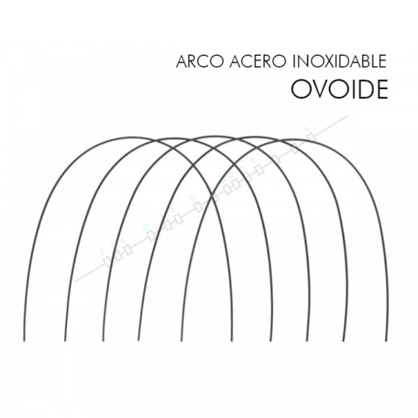 Arco Acero fix Orthodontics