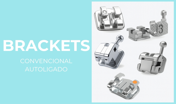 BRACKERS MODELOS