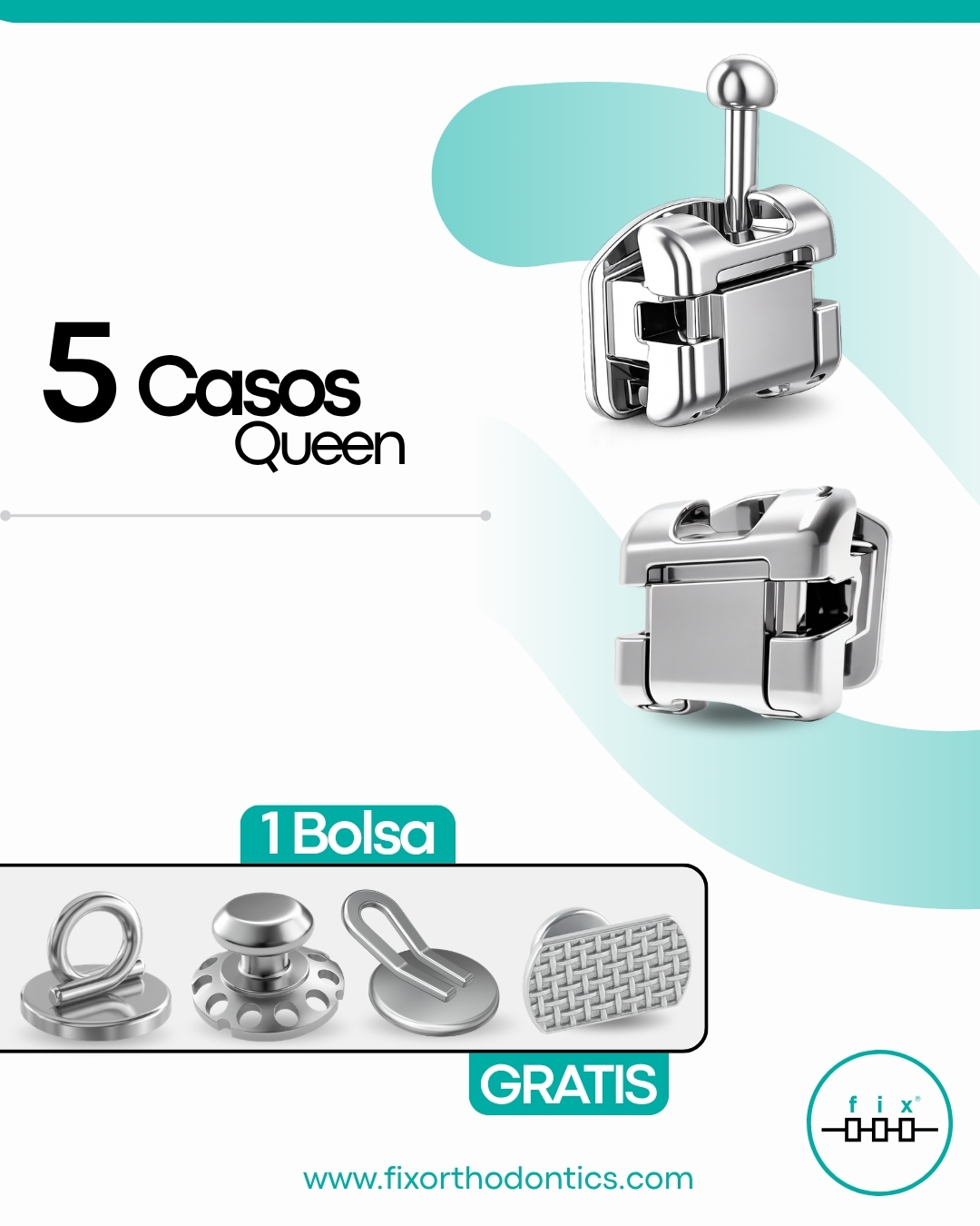 Oferta 5 Casos Brackets Queen